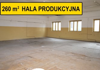 hala na wynajem - Lubin, Małomice