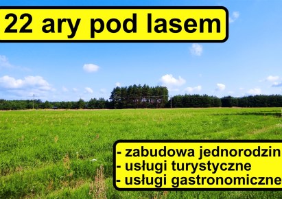 działka na sprzedaż - Chocianów (gw), Ogrodzisko