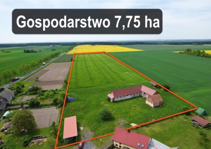 obiekt na sprzedaż - Chocianów (gw), Żabice