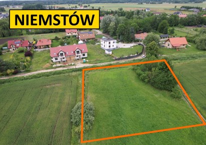 działka na sprzedaż - Lubin (gw), Niemstów