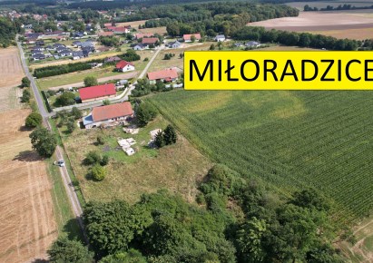 działka na sprzedaż - Lubin (gw), Miłoradzice