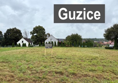 działka na sprzedaż - Polkowice (gw), Guzice