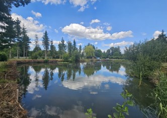 działka na sprzedaż - Chocianów (gw), Ogrodzisko