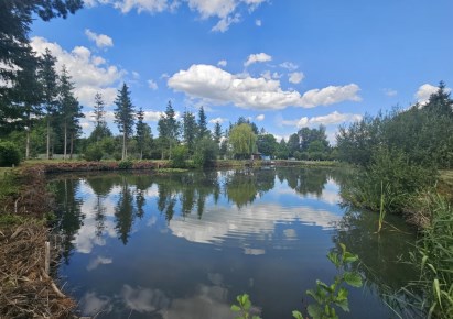 działka na sprzedaż - Chocianów (gw), Ogrodzisko