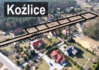 działka na sprzedaż - Rudna, Koźlice