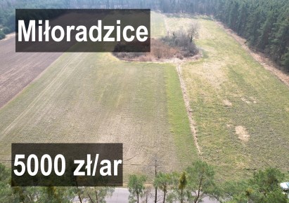 działka na sprzedaż - Lubin (gw), Miłoradzice