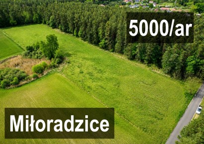 działka na sprzedaż - Lubin (gw), Miłoradzice