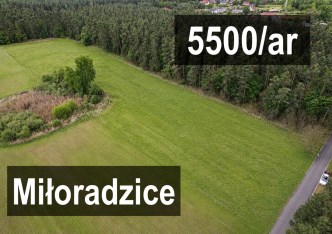 działka na sprzedaż - Lubin (gw), Miłoradzice