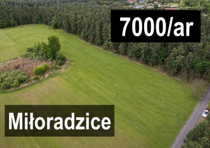 działka na sprzedaż - Lubin (gw), Miłoradzice