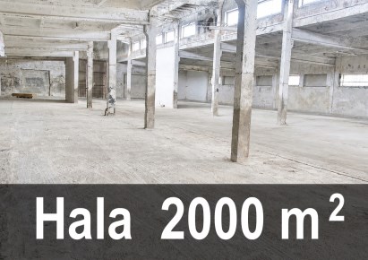 hala na wynajem - Lubin (gw), Szklary Górne