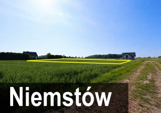 działka na sprzedaż - Lubin (gw), Niemstów