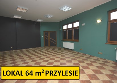 lokal na wynajem - Lubin, Przylesie