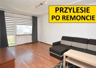 mieszkanie na wynajem - Lubin, Przylesie
